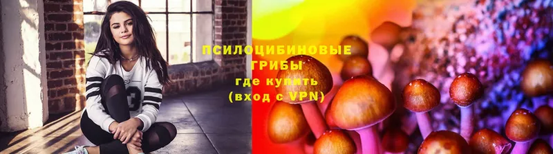 Псилоцибиновые грибы ЛСД  Камешково 